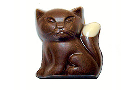 Chocolate Cat